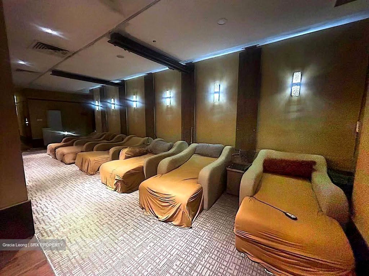Furama Riverfront (D3), Shop House #609661271